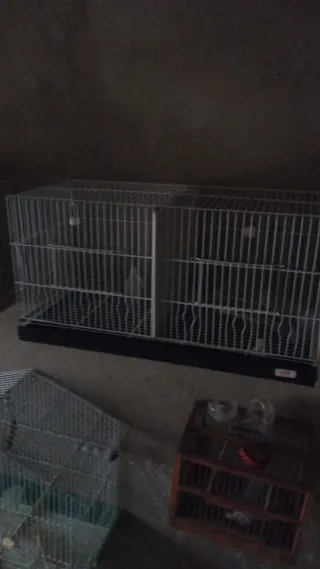 Jaulas de cría blancas