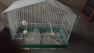 Jaulas de cría blancas