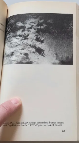 I gas di Mussolini il fascismo e la guerra d'Et...