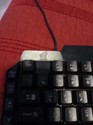 Teclados Dell y Leotec Negros