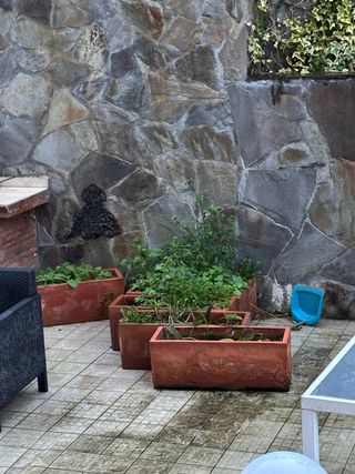 Jardineras terracota (pack 6)