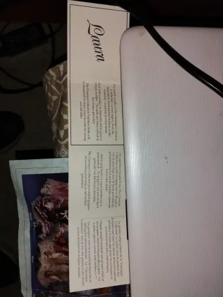 Muñecas de Porcelana Coleccionable con sus cajas