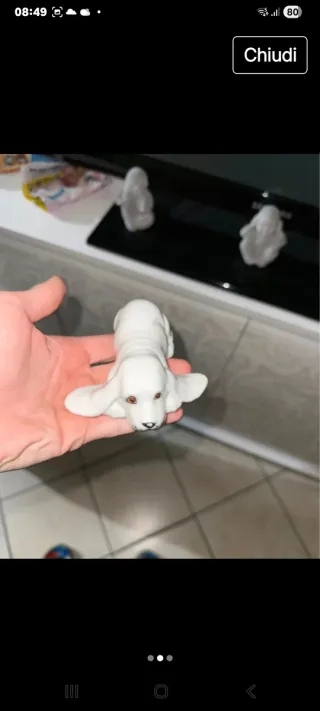 Cane porcellana steso