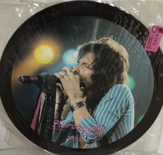 Disco Aerosmith - Edición Limitada