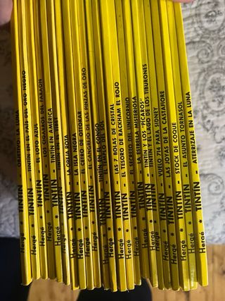 La Isla Negra (rústica)