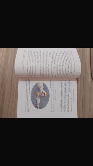 Libro , La Celestina