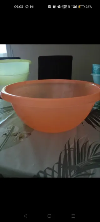 Mestolo Tupperware, Cavatappi e insalatiere