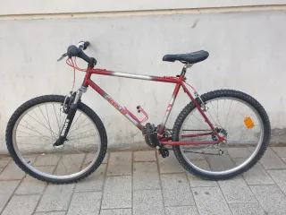 Bicicleta de montaña Zeus