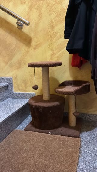 Árbol rascador para gatos