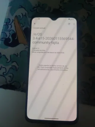 OnePlus 6T con /e/os