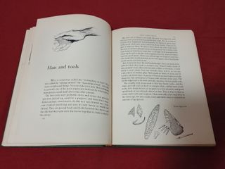 Libro en inglés de 1959 Xploring Science