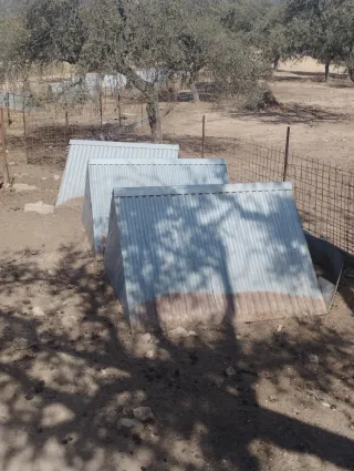 Camping para cochinas cria Tolva patio lechones