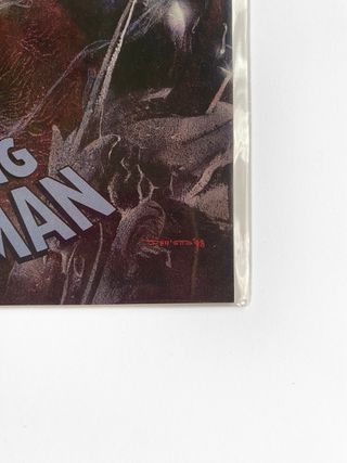 🇺🇸 Spider-man 798 Variant Gabriele Dell’Otto