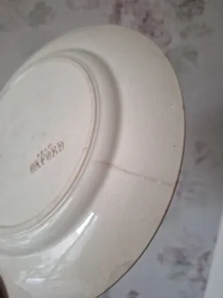 Plato Llano Policromado Hippolyte Boulenger