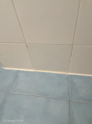 Manitas del hogar.