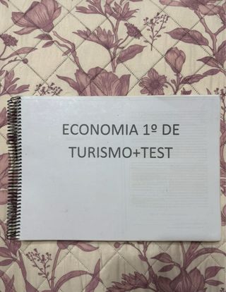 Cuadernillo/libro Economia. Turismo