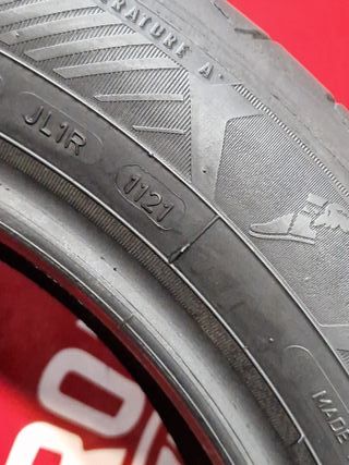 [R. 1945] - 205 55 17 95V NEUMÁTICOS GOODYEAR
