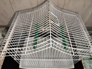 Jaula para pájaros blanca