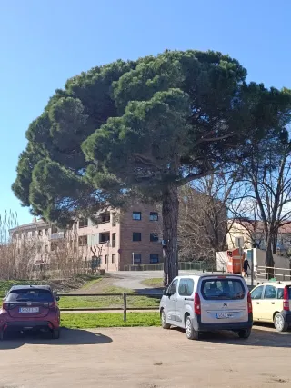 Mantenimiento y limpieza