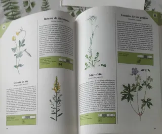 Gran LIBRO DE LAS PLANTAS.Especies de Europa