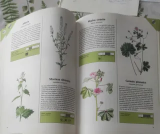 Gran LIBRO DE LAS PLANTAS.Especies de Europa