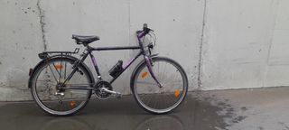 Bicicleta Morada SCHAUFF
