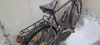 Bicicleta Morada SCHAUFF