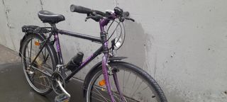 Bicicleta Morada SCHAUFF