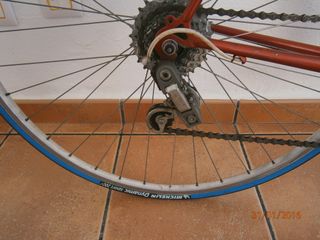 Bicicleta Celeris Clásica