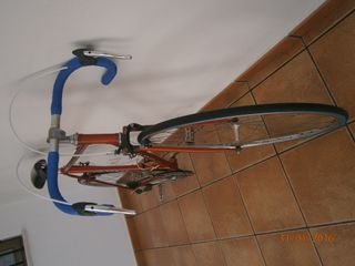 Bicicleta Celeris Clásica