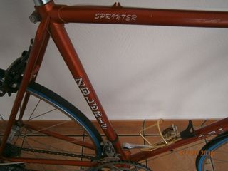 Bicicleta Celeris Clásica