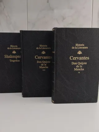 Don Quijote de La Mancha