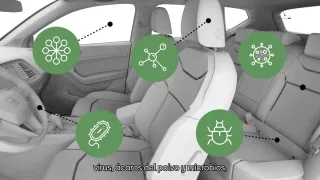 Limpieza con ozono en coche a domicilio