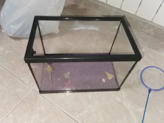 Kit Acuario Pecera Completo