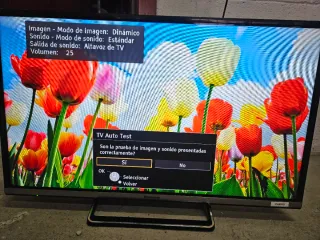 TV Panasonic Viera 32'' con mando