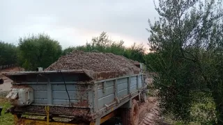 Estiércol para abono