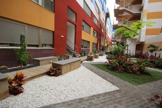 Piso en alquiler en Arenales - Lugo - Avenida Marítima en Palmas de Gran Canaria(Las)