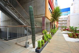 Piso en alquiler en Arenales - Lugo - Avenida Marítima en Palmas de Gran Canaria(Las)