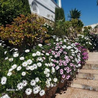 Chalet en venta en Sant Antoni en Cullera