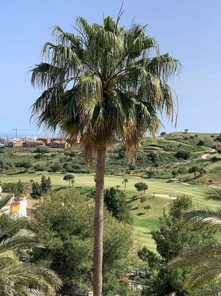 Ático en venta en Calahonda en Mijas