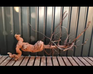 Raíz/tronco Decoración acuario OFERTA SOLO HOY!