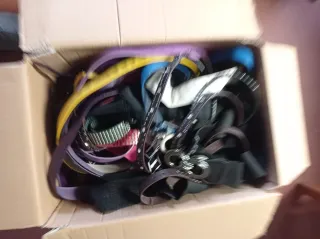 Lotto Cinture Donna Studded