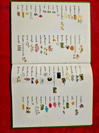 Il brutto anatroccolo