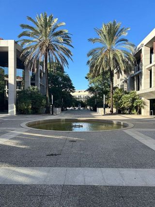 Oficina en alquiler en Sector Sur  - La Palmera - Reina Mercedes en Sevilla