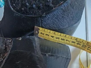 Botines Lollipops Mujer Negros con Lentejuelas