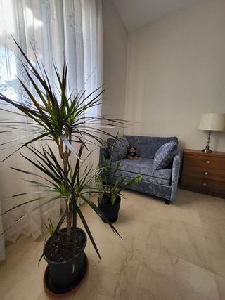 Piso en venta en Zona Norte en Estepona
