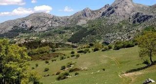 Solar en venta en Villanueva del Rosario