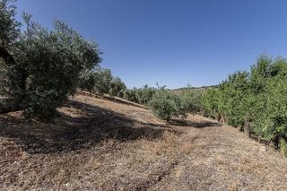 Terreno en venta en Montefrío