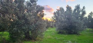 Terreno en venta en Roquetes