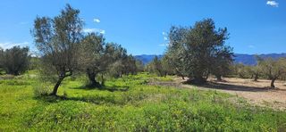 Terreno en venta en Roquetes